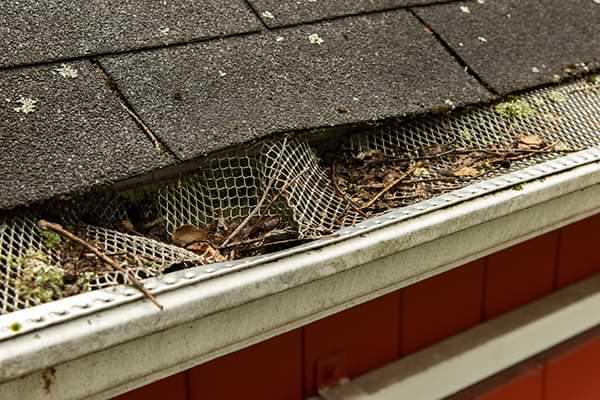 New York clogged gutters