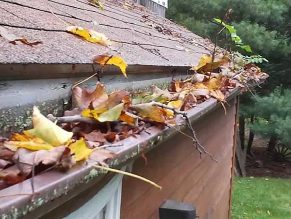 Western New York clogged gutters