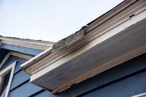 Shingle falling off roof